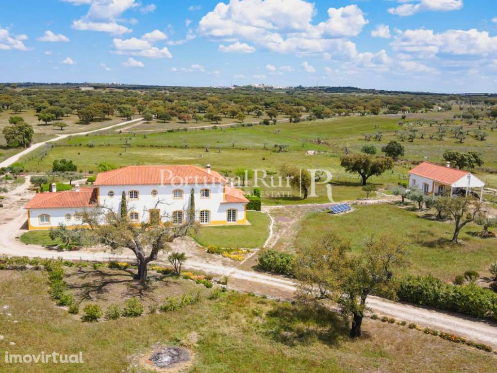 Excelente quinta de 3,95ha com 2 casas - Grande imagem: 3/60