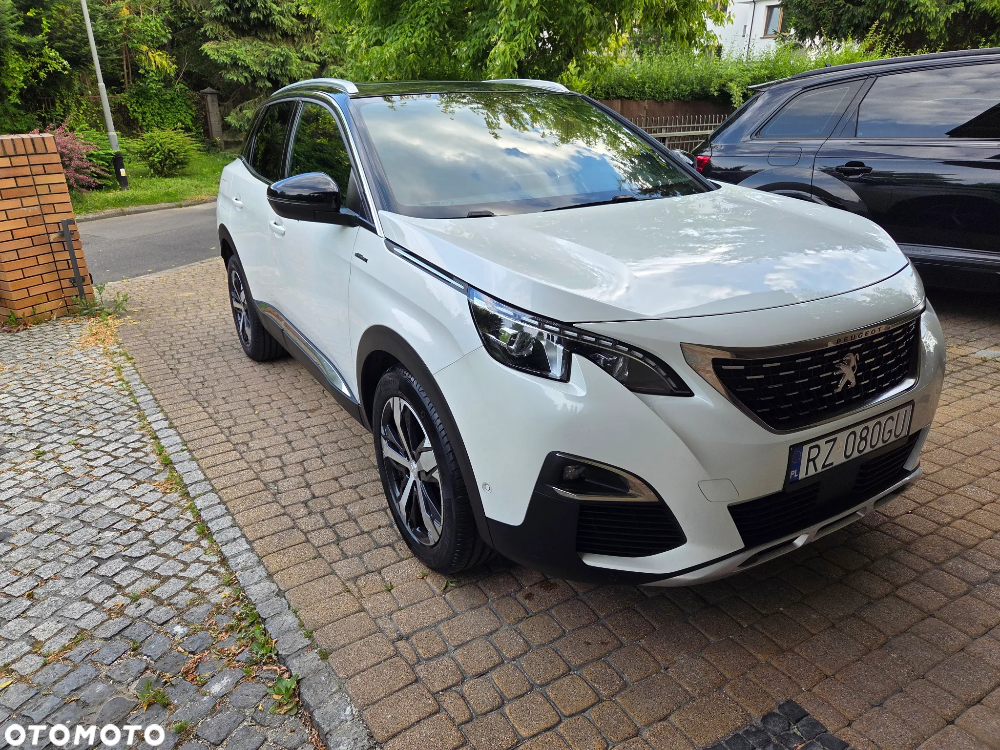 Peugeot 3008 1.5 BlueHDi GT S&S EAT8 - 3