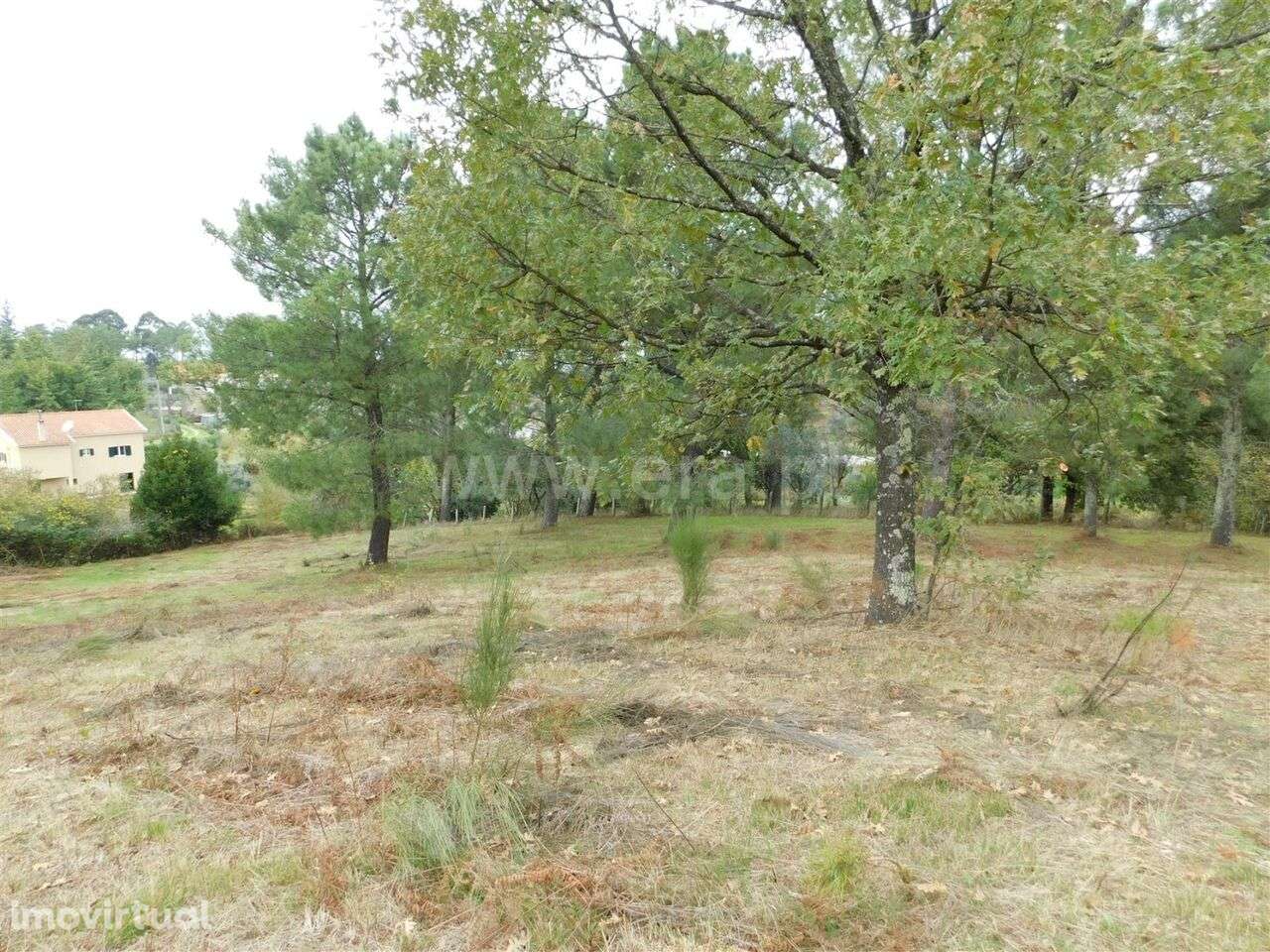 Terreno / Gouveia, São Paio - Grande imagem: 4/12