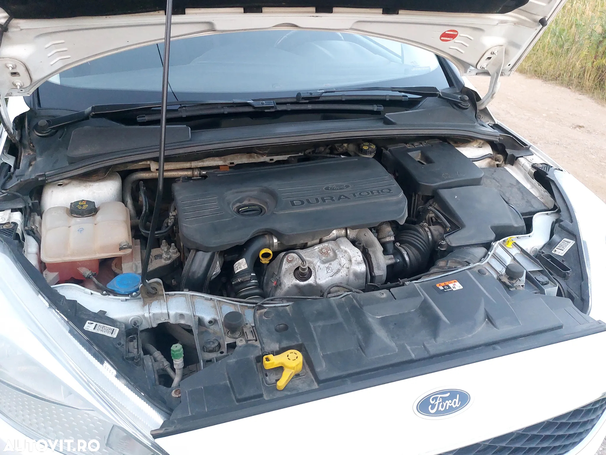 Ford Focus - 14