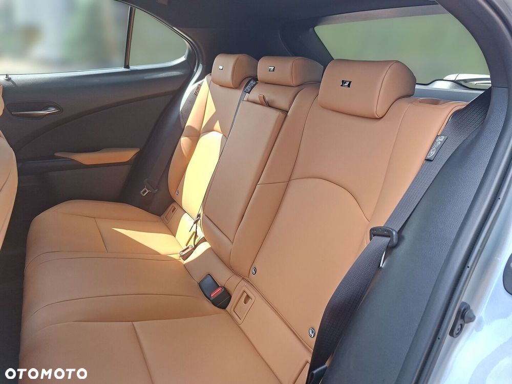 Lexus UX 300h F Sport Design - 14
