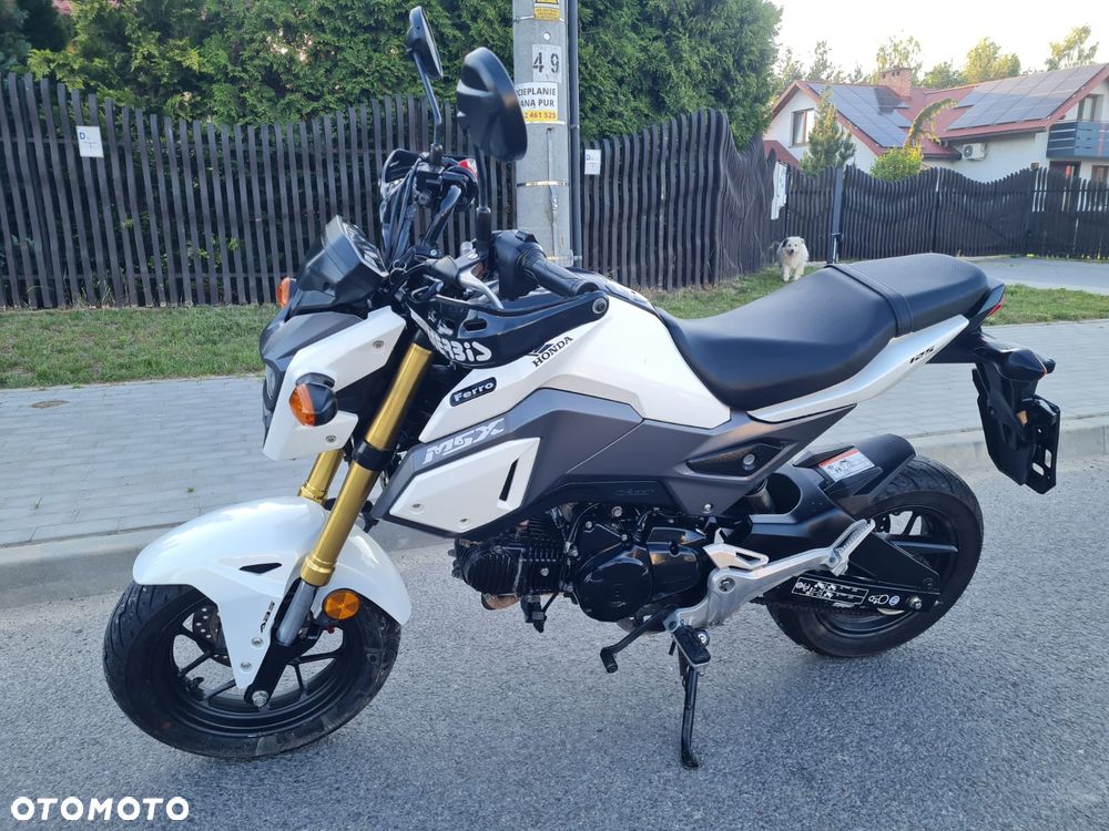 Honda MSX 125 - 1