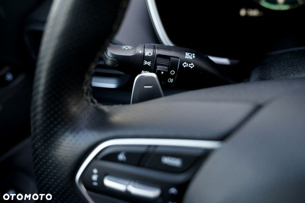 Hyundai Santa Fe - 36