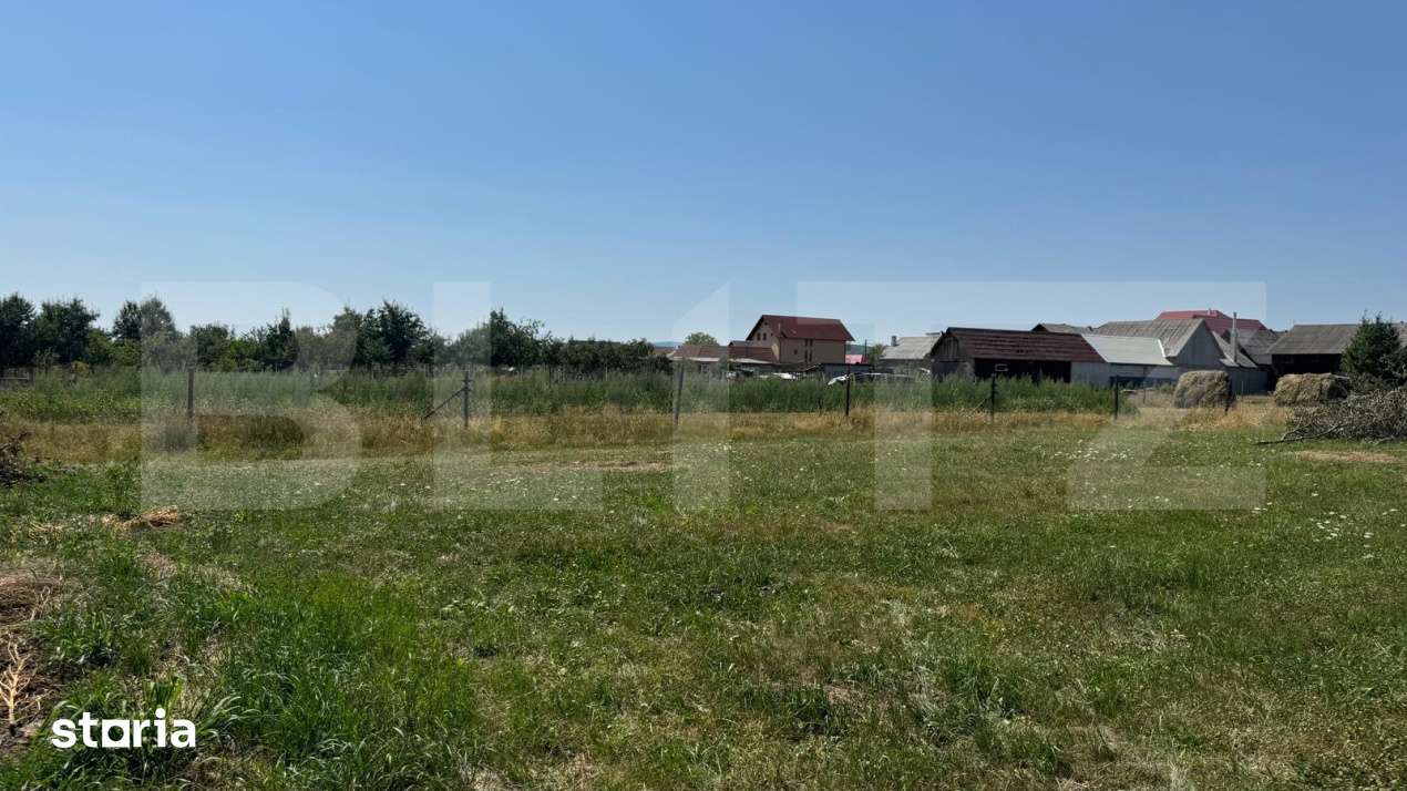 Teren intravilan, 3000 mp, zona Livezile - Imagine principală: 3/7