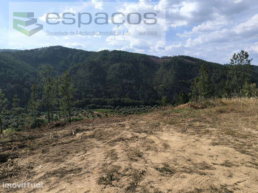 Terreno rústico junto ao Sesmo - Grande imagem: 2/9