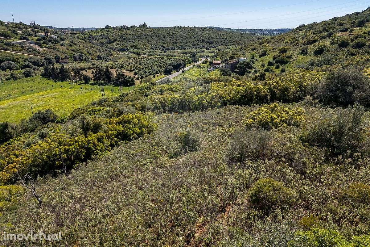 Terreno  para venda - Grande imagem: 2/12