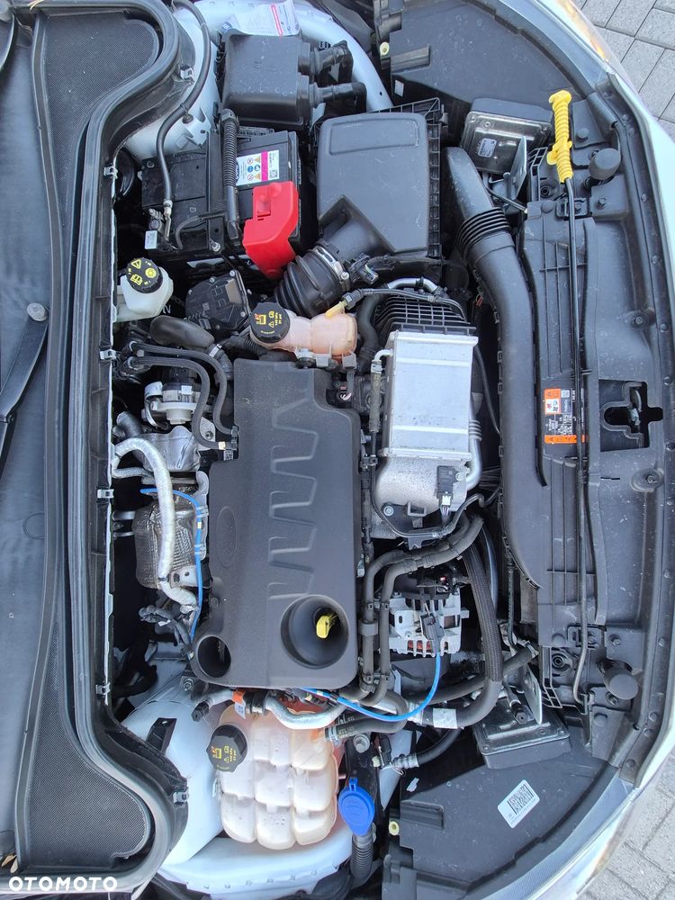 Ford Focus 2.0 EcoBlue ST-Line - 38