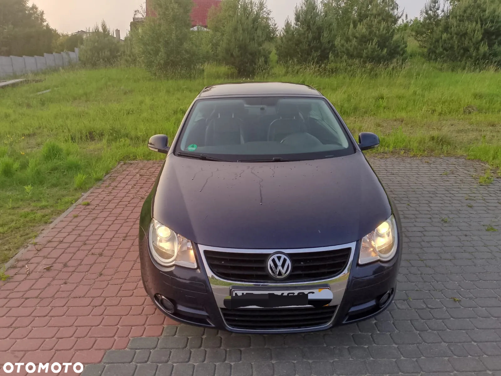 Volkswagen Eos 2.0 TDI DPF - 2