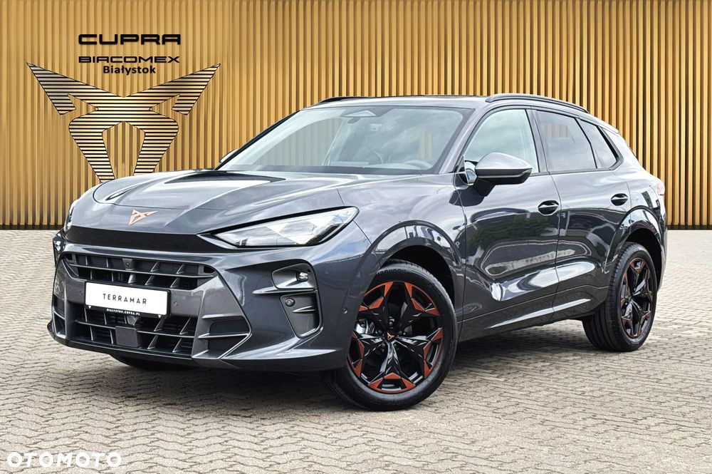 Cupra Terramar - 2