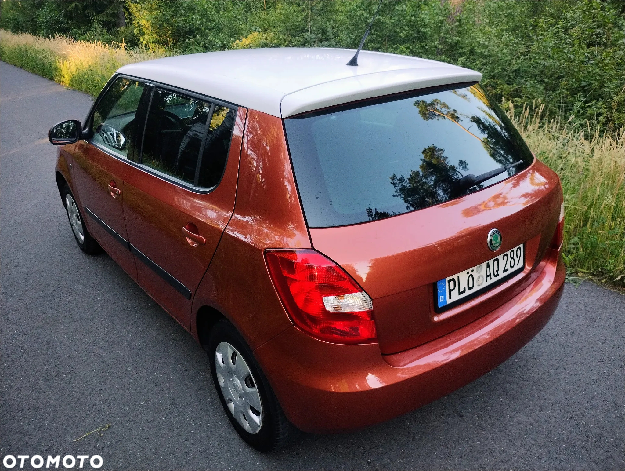Skoda Fabia - 14