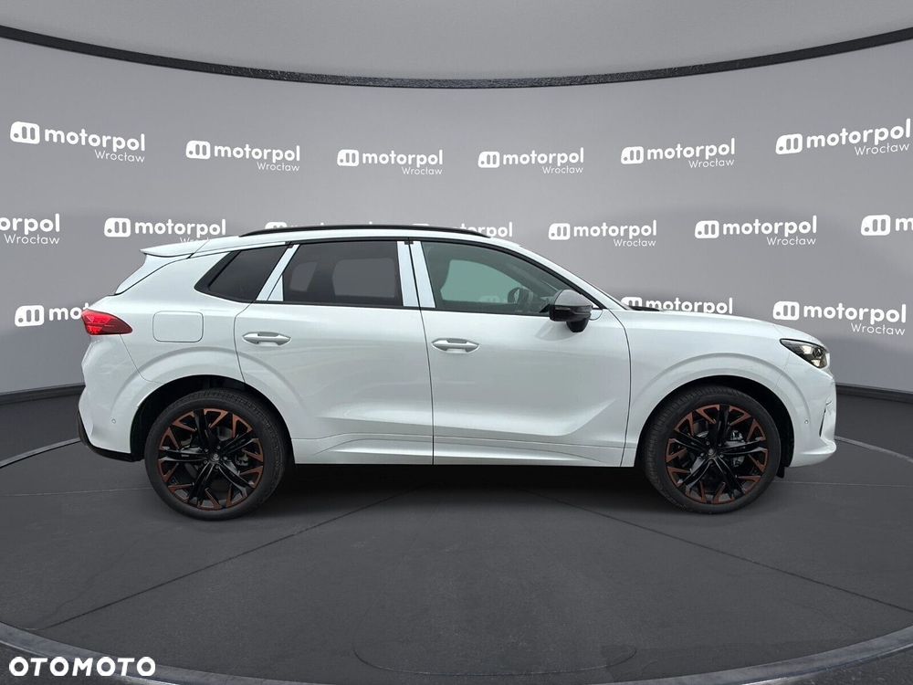 Cupra Terramar - 11
