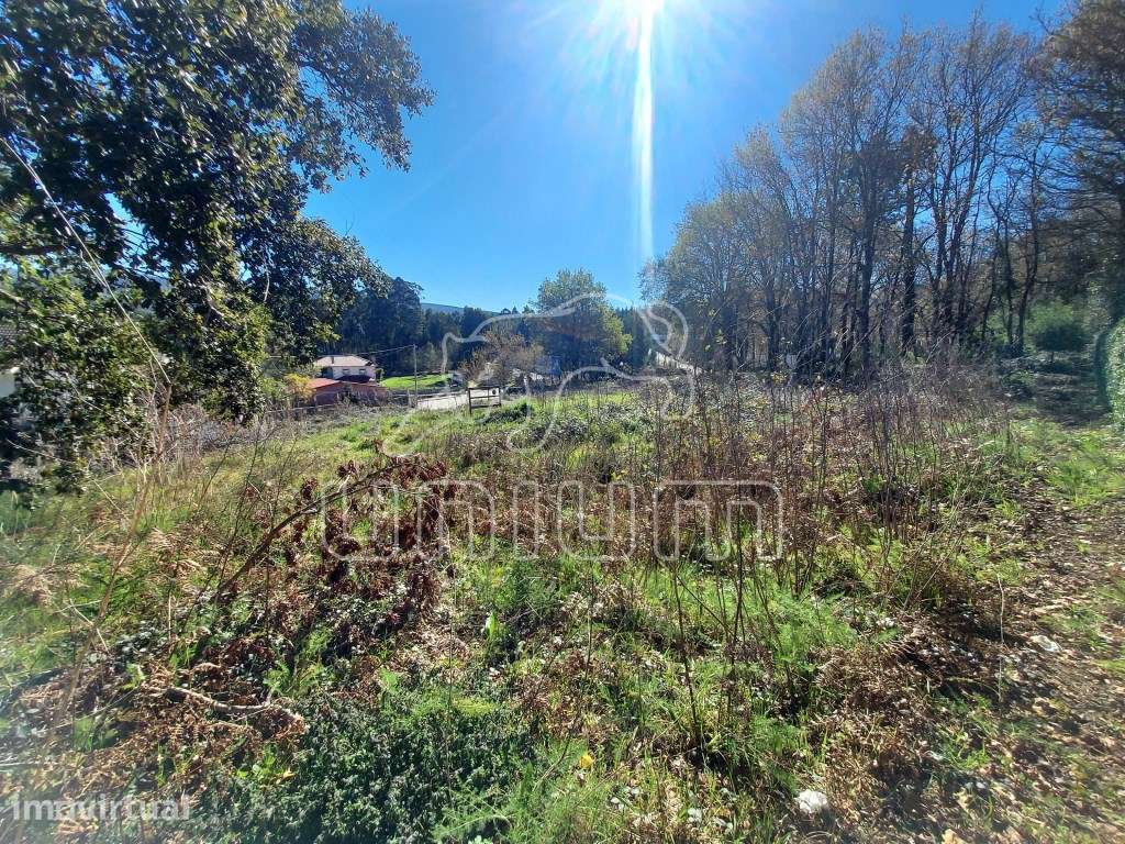 LOTE - Vale dos Esquilos, Venade - Caminha - Grande imagem: 2/6