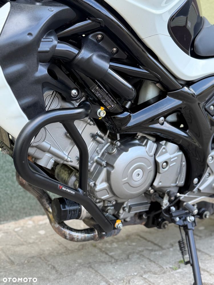 Suzuki Gladius - 31