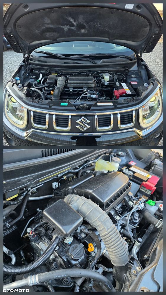 Suzuki Ignis - 33