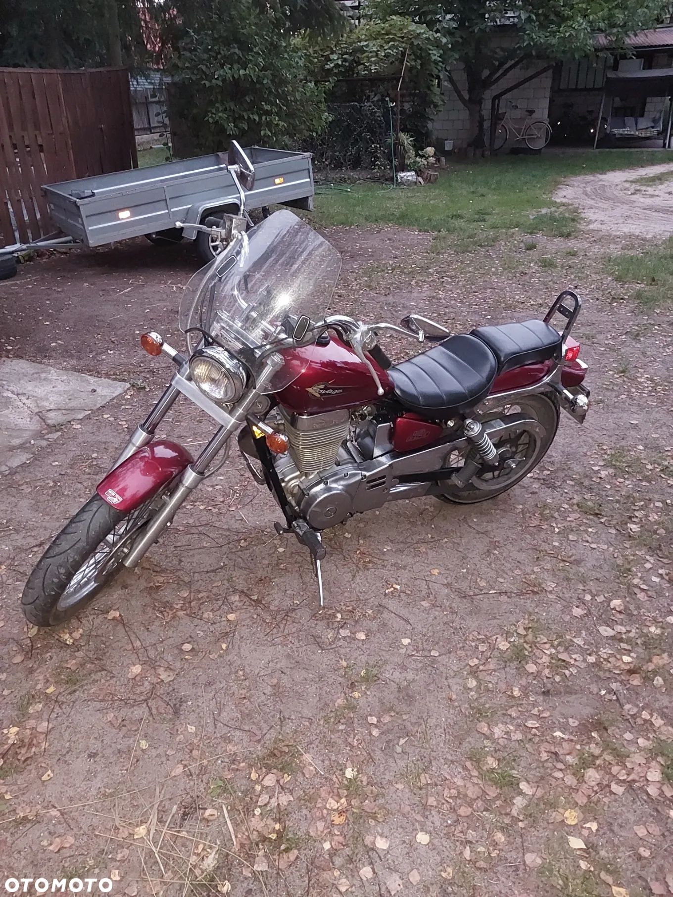 Suzuki Savage - 1