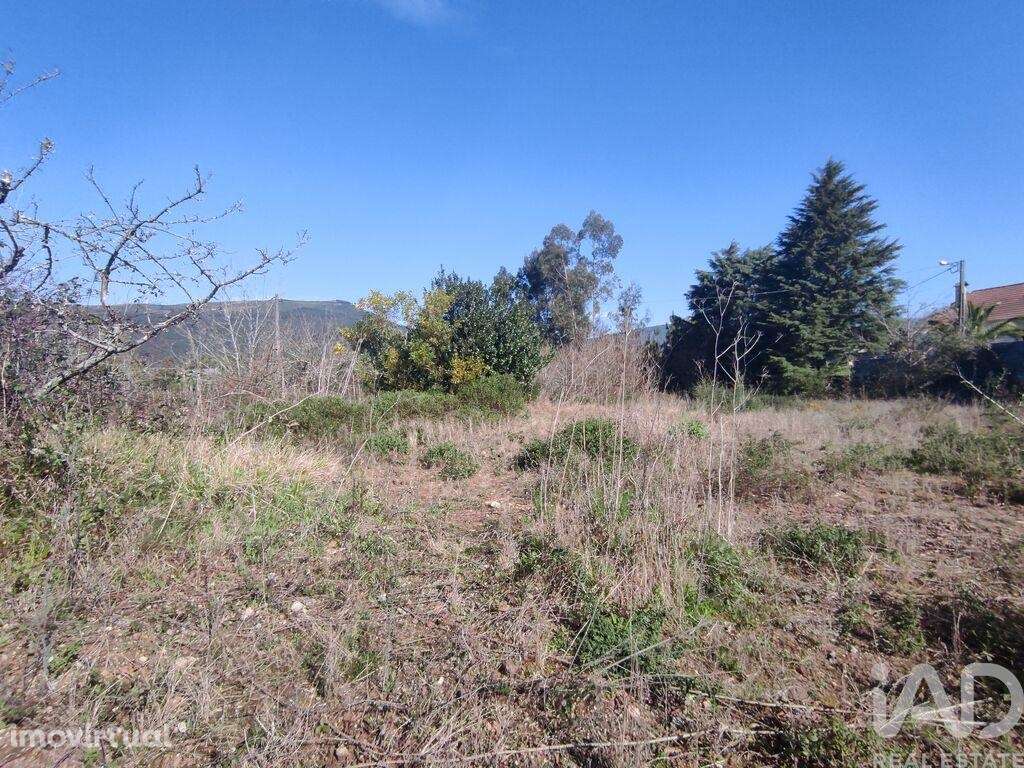 Terreno em Bárrio e Cepões de 66425,00 m2 - Grande imagem: 3/30