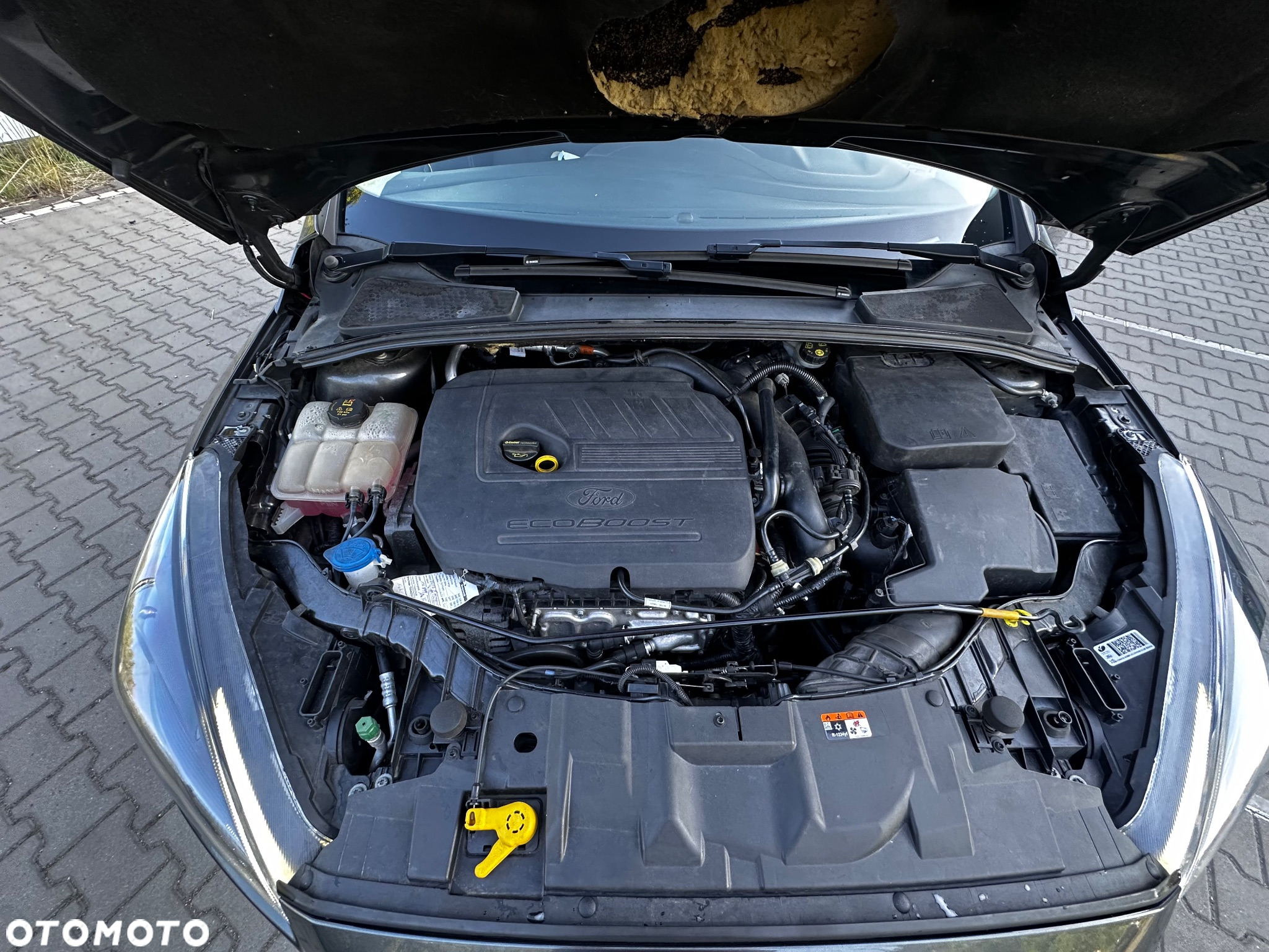 Ford Focus Turnier 1.5 EcoBoost Start-Stopp-System Business Edition - 37