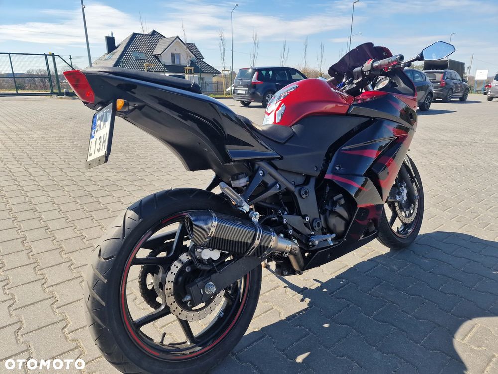 Kawasaki Ninja 250R - 4