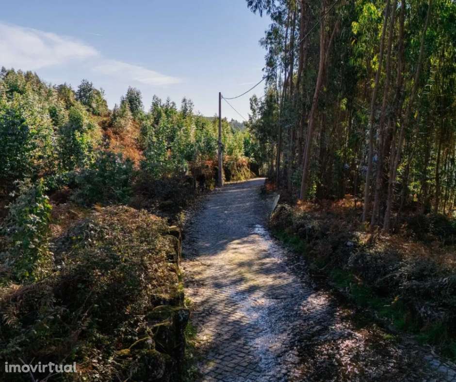 Terreno com Potencial para Unidade Hoteleira | Gerês – Vieira do M - Grande imagem: 2/4
