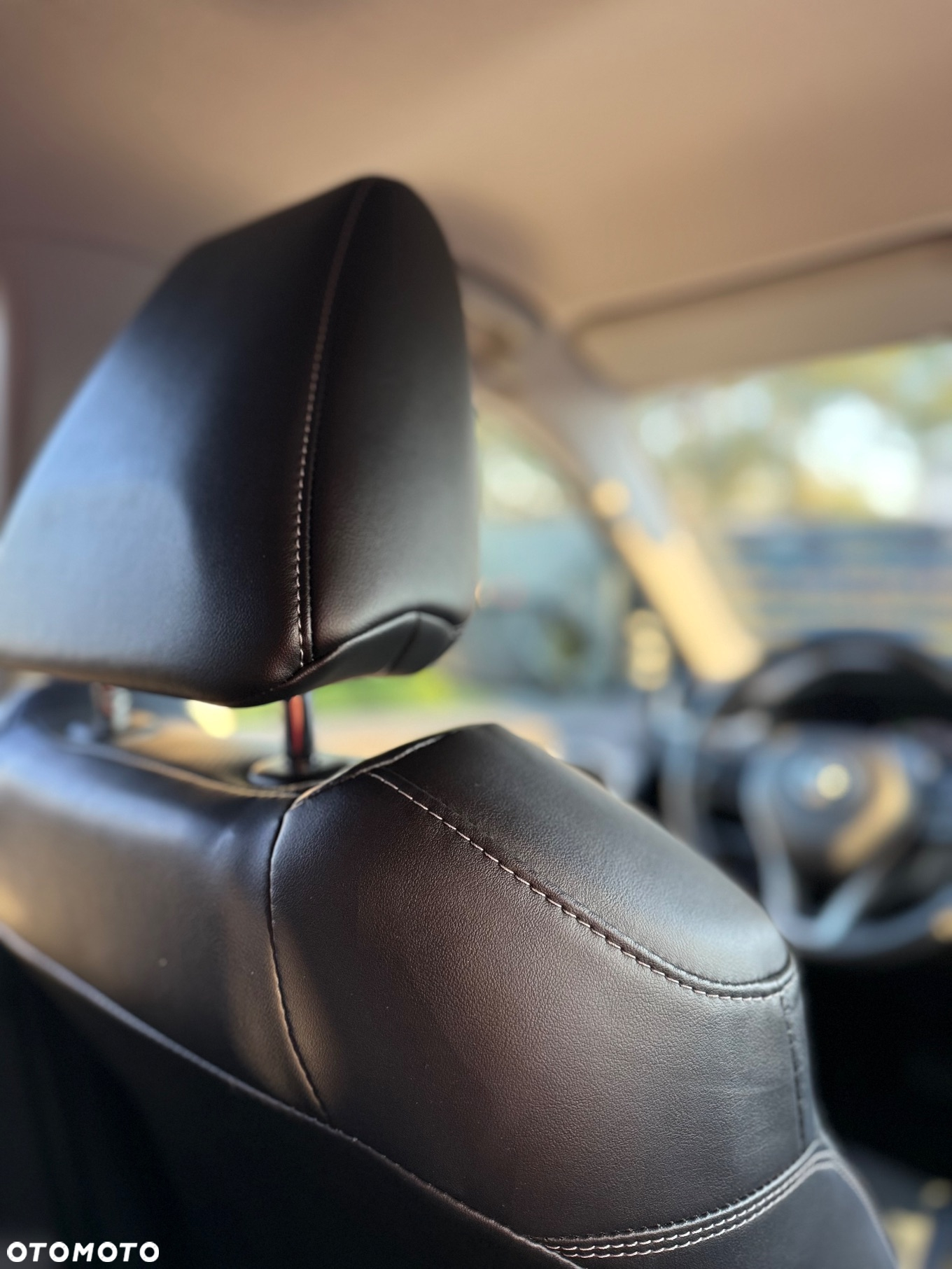 Toyota RAV4 2.5 Hybrid Executive 4x4 - 20