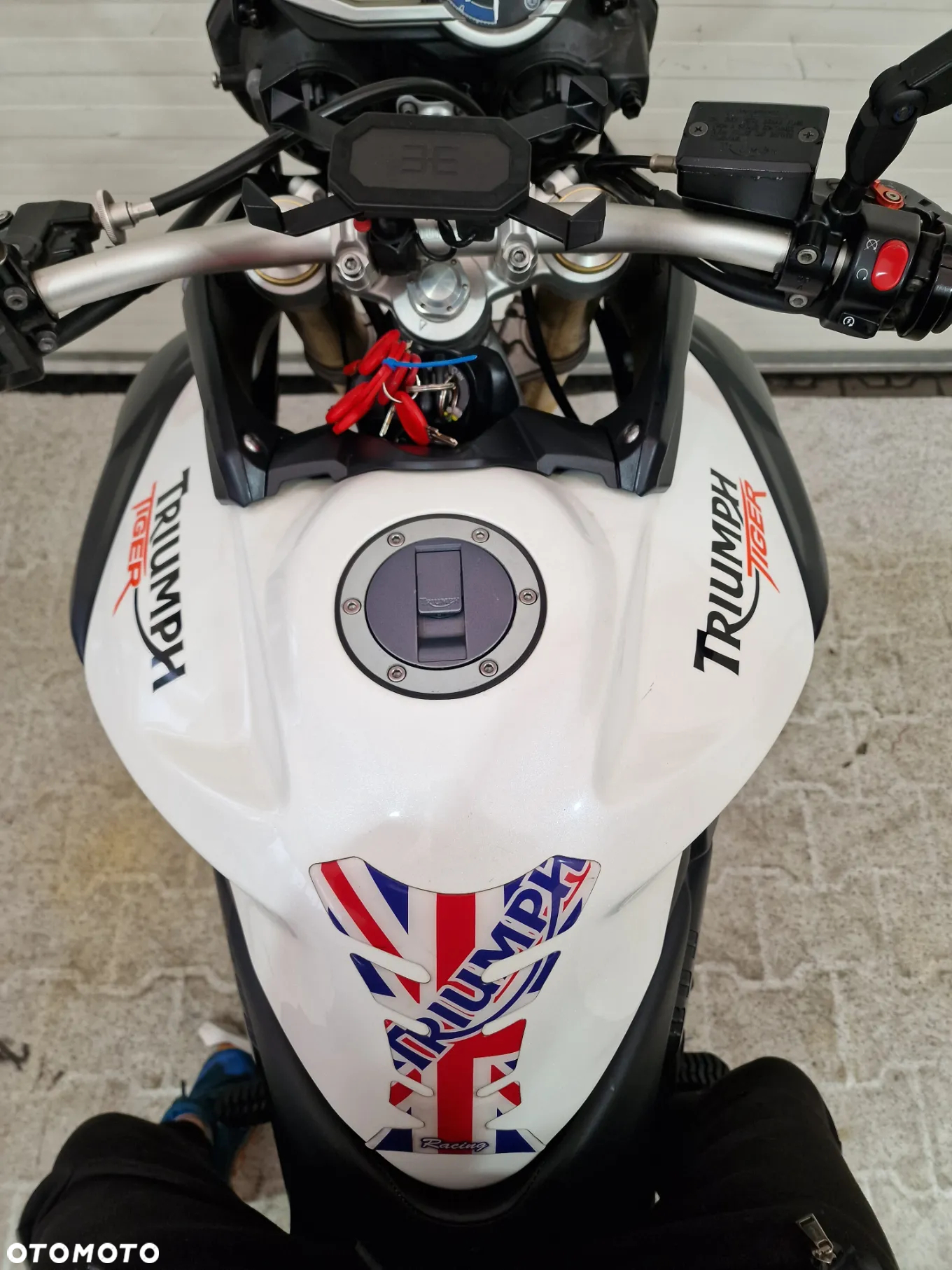 Triumph Tiger - 29