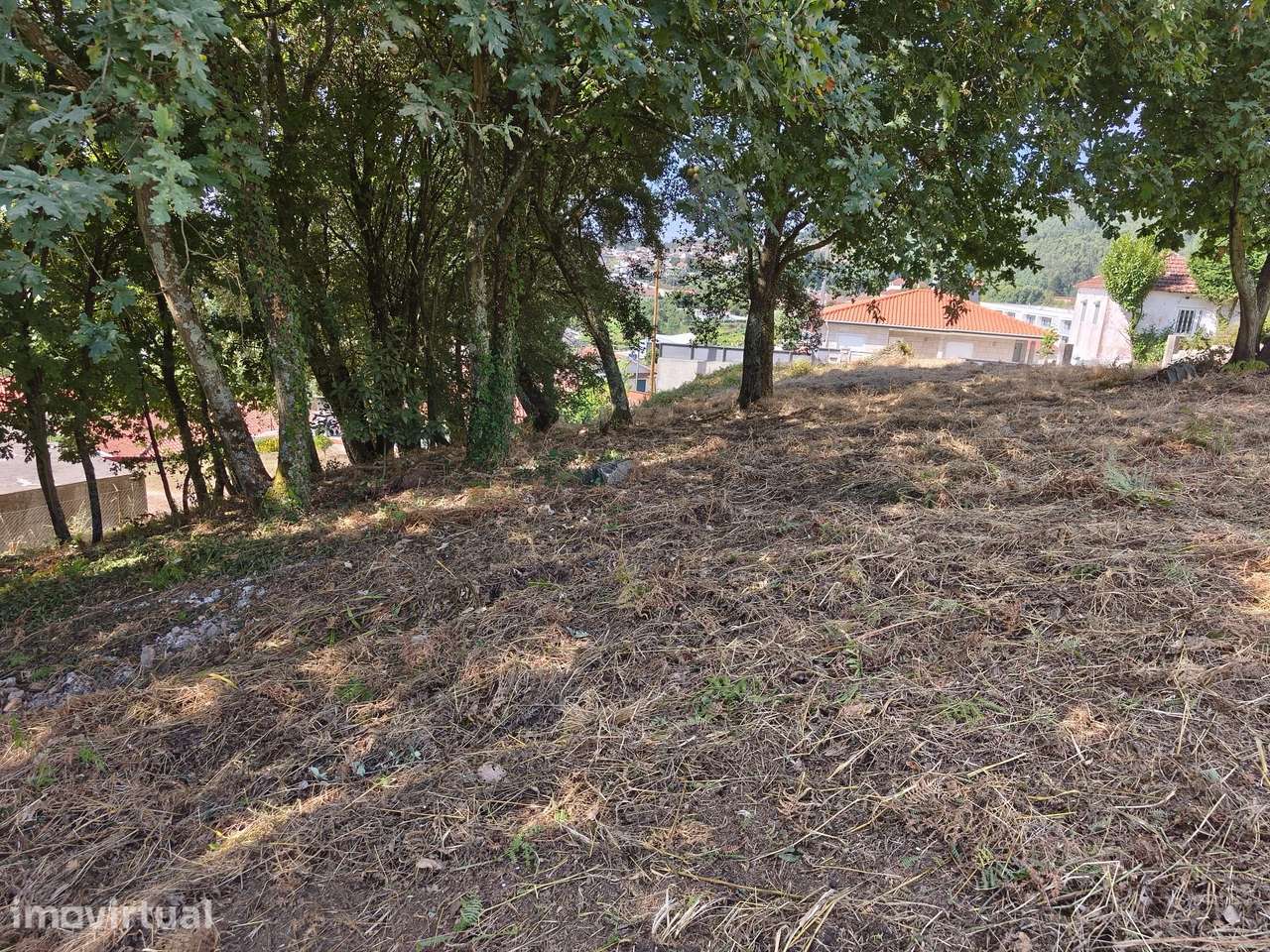 Vende Terreno Besteiros Paredes - Grande imagem: 5/5