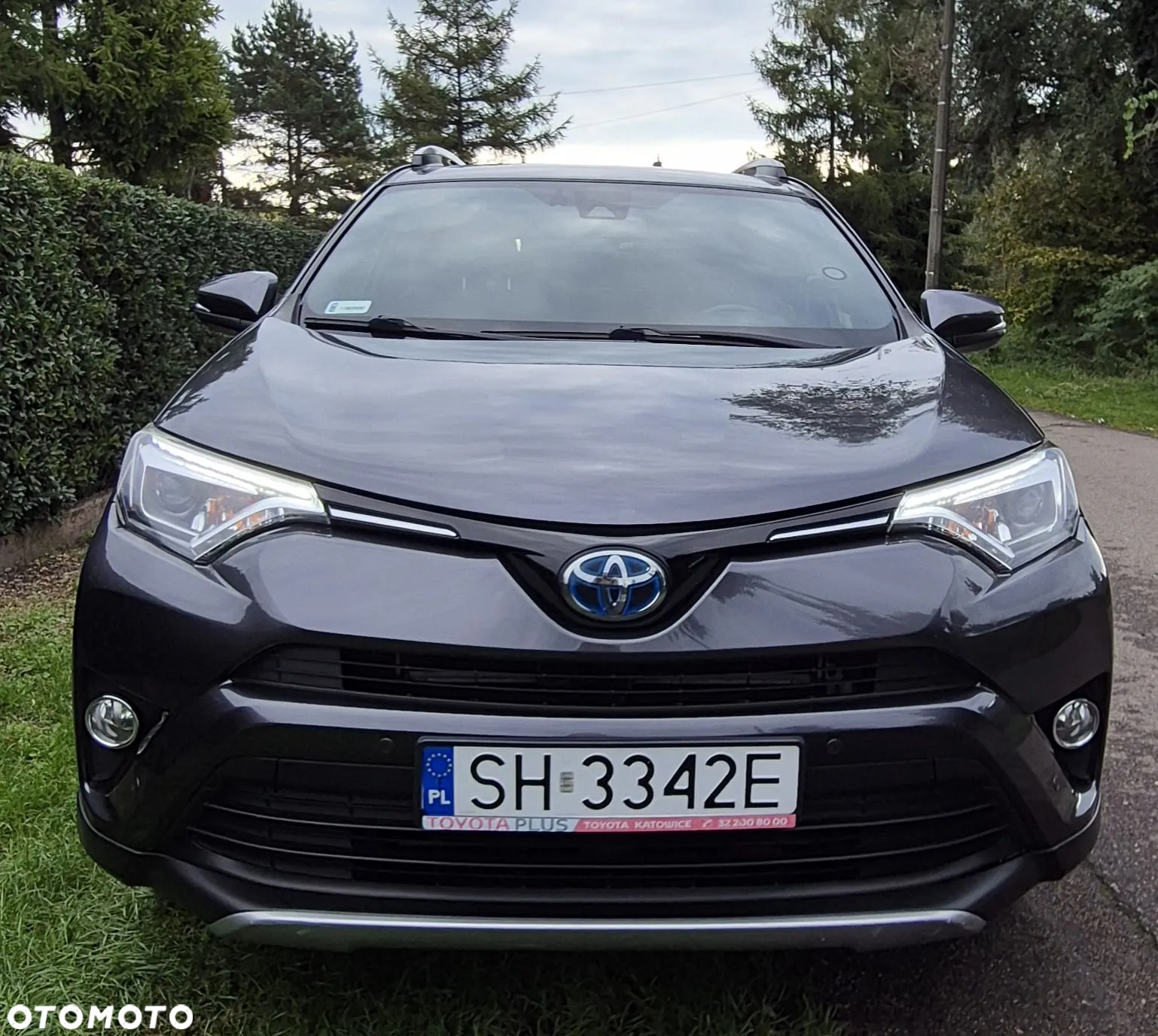 Toyota RAV4 Hybrid Platinum 4x2 - 4