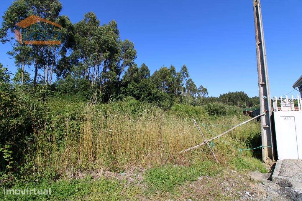 Terreno Industrial com 28.000 m2 para a construção de armazém - Grande imagem: 4/13