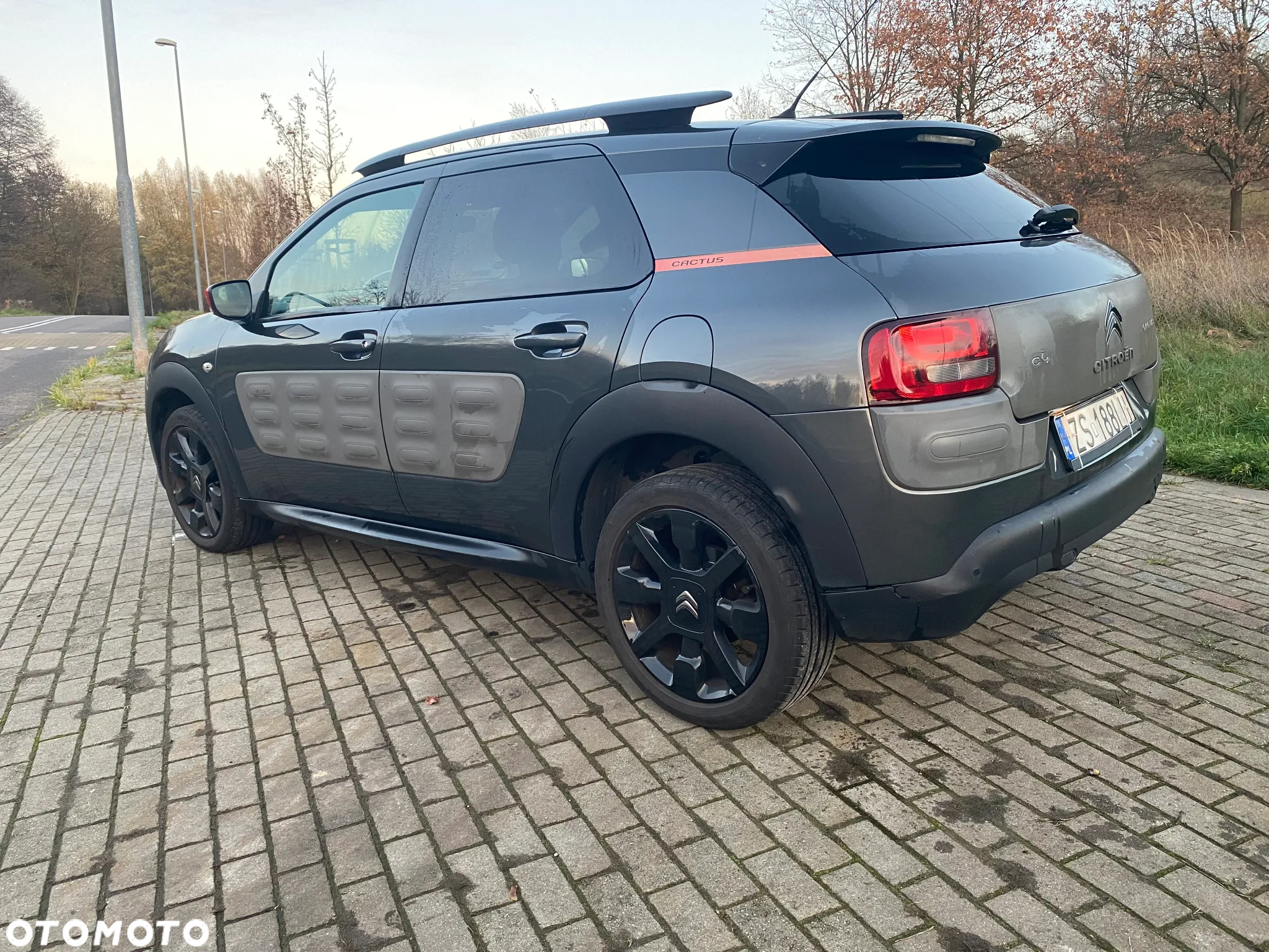Citroën C4 Cactus 1.6 Blue HDi Shine - 10