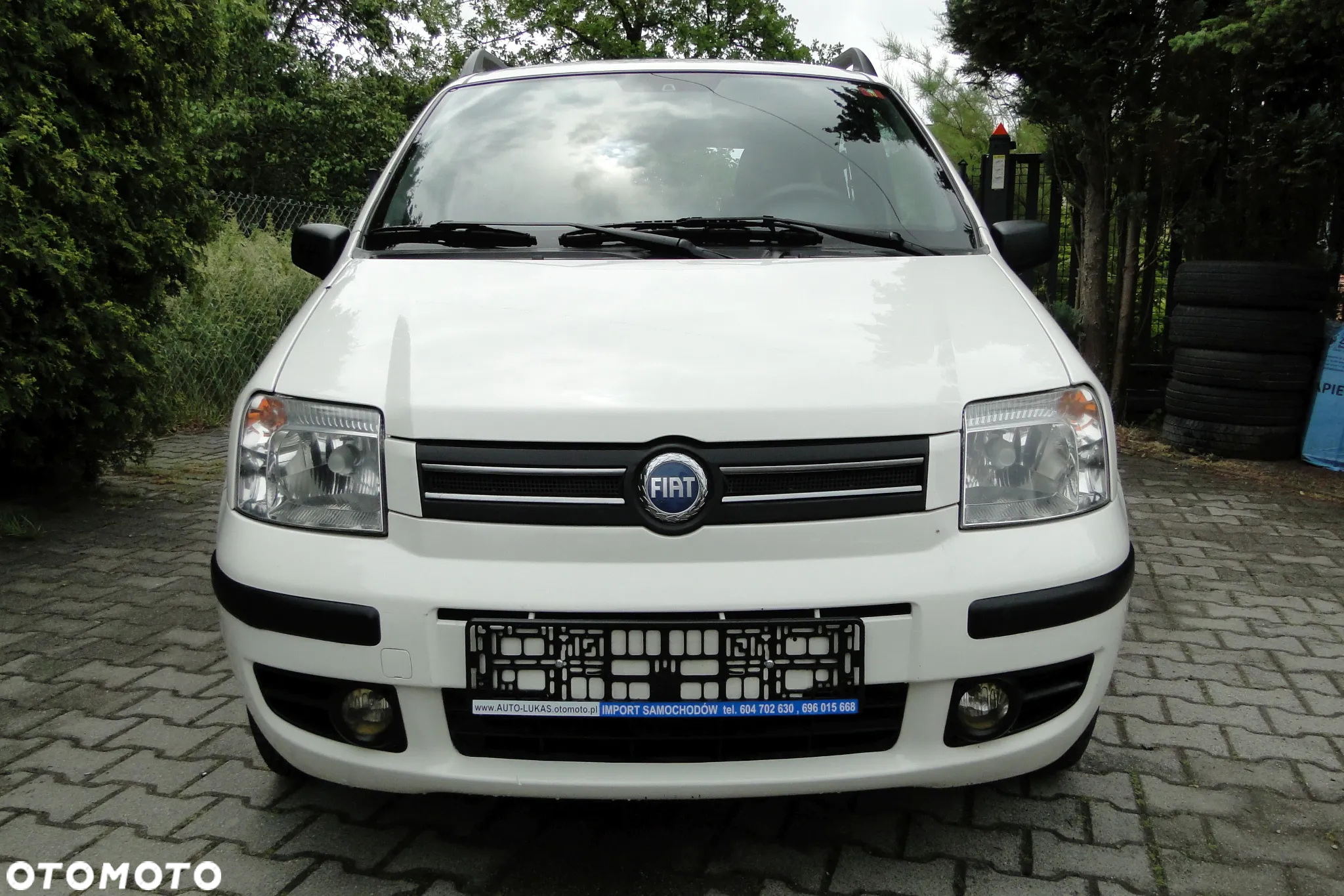 Fiat Panda 1.2 Dynamic Plus - 2