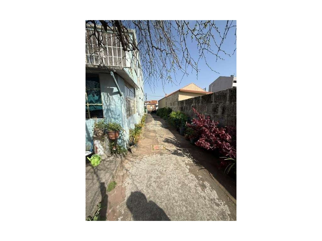 Moradia / Quintinha | 4 frentes | Terreno - Leça do Balio - Grande imagem: 5/15