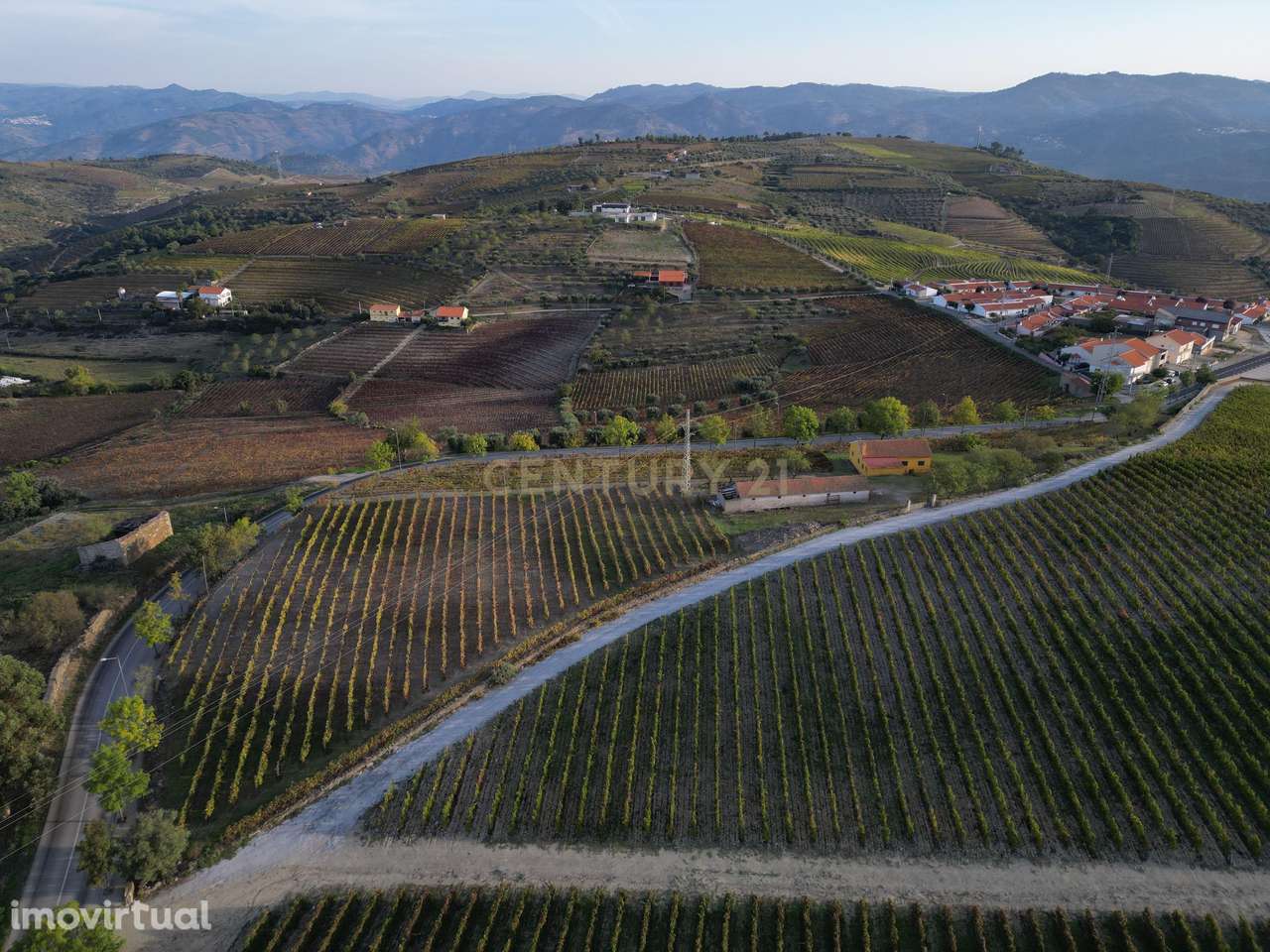Quinta para Recuperar em Viseu - Oportunidade Única! - Grande imagem: 3/21