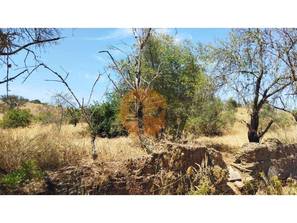 TERRENO COM 7.640 M2 JUNTO A ENTRADA DA ALDEIA DE CORTES PEREIRA - ... - Grande imagem: 4/53