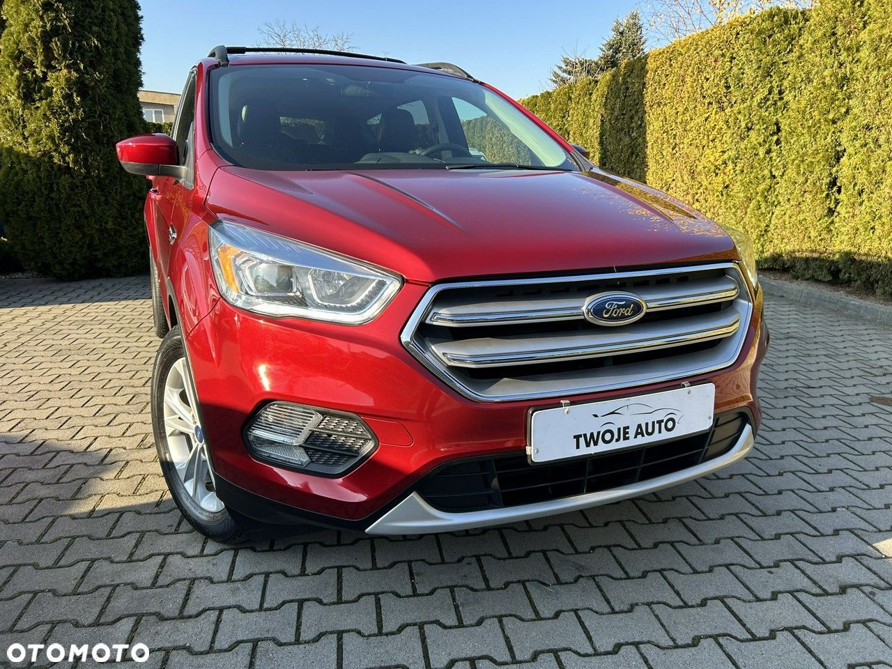 Ford Escape - 1