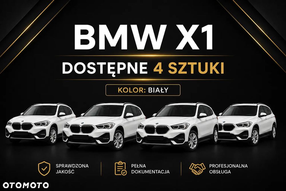 BMW X1 xDrive25e Advantage - 3