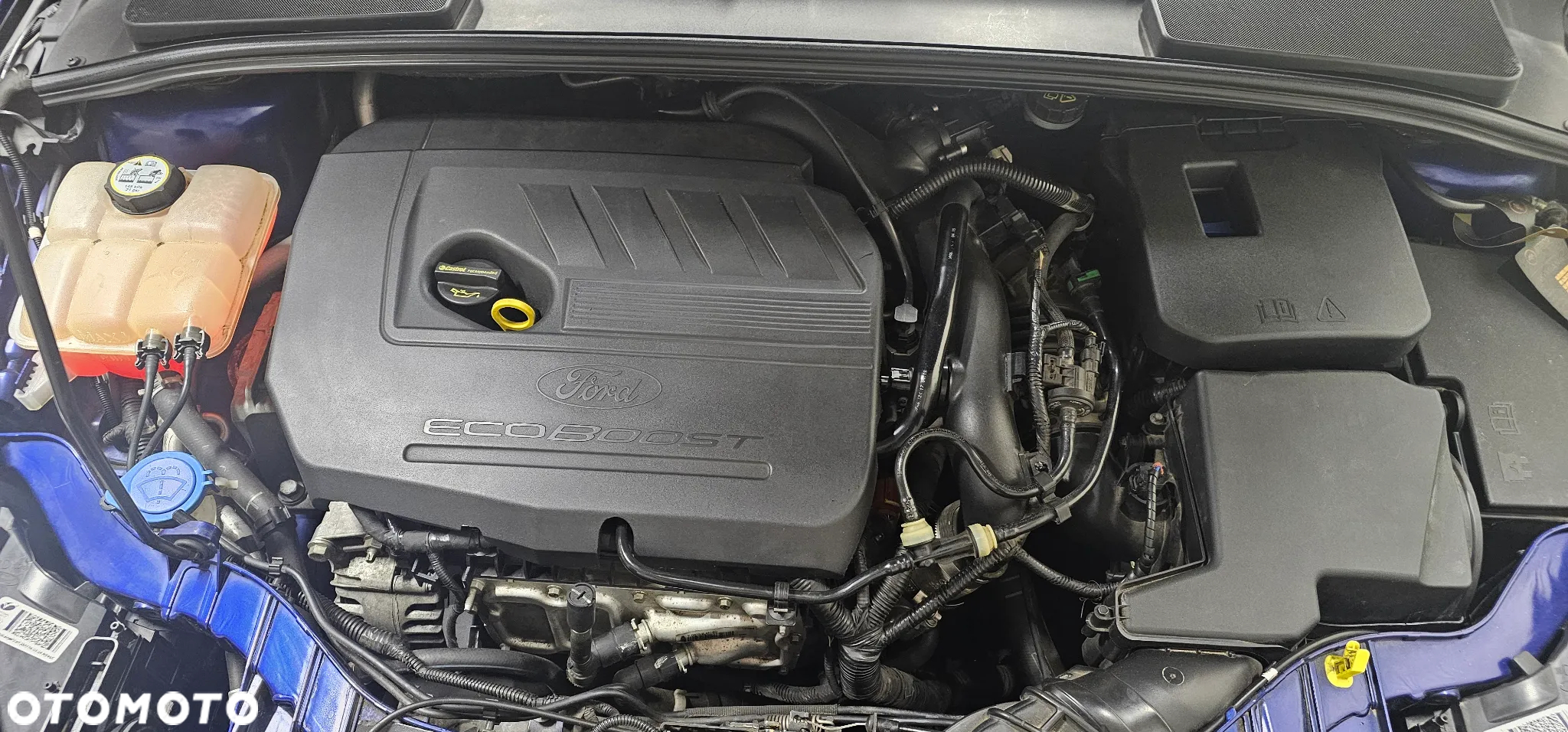 Ford Focus 1.5 EcoBoost Titanium ASS - 19