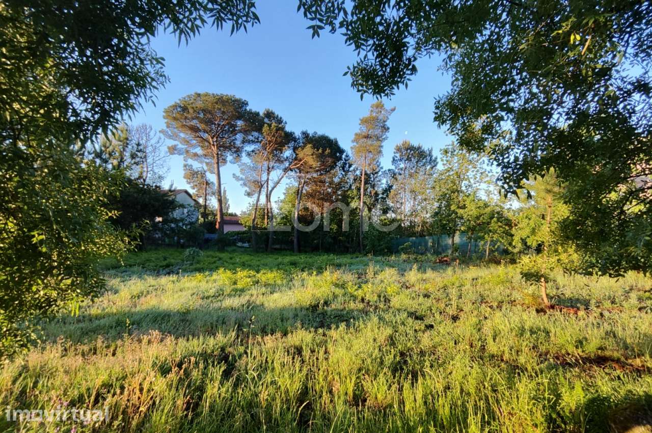 Terreno Urbanizável Vila Chã de Sá - Grande imagem: 5/15