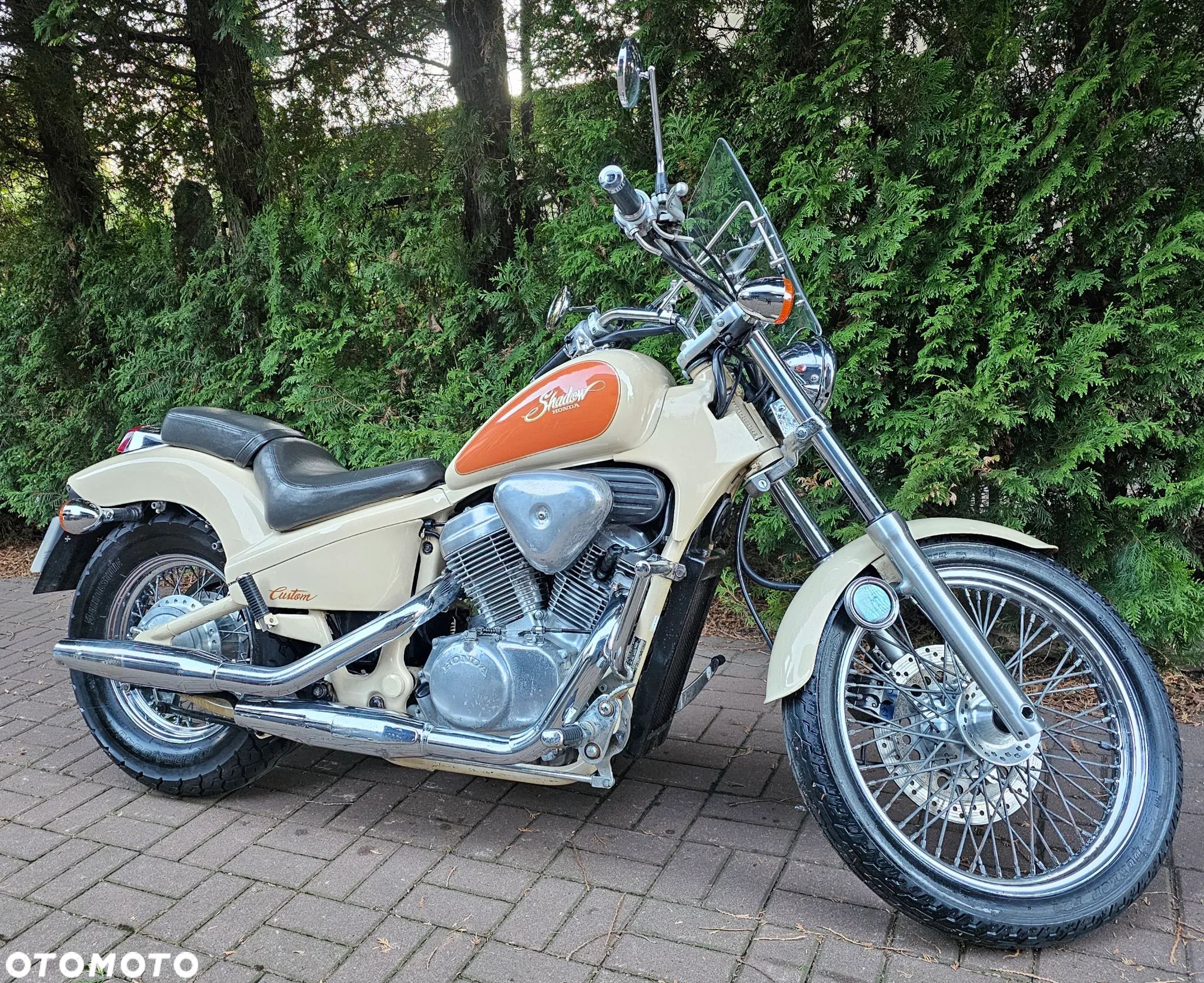 Honda Shadow - 1