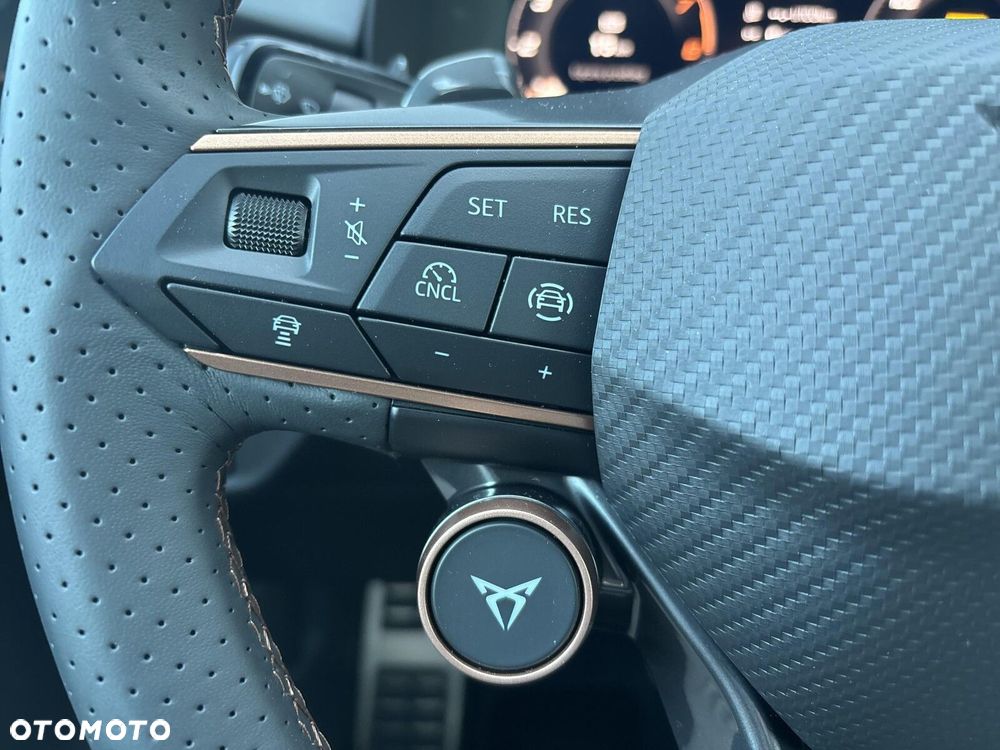 Cupra Terramar - 22