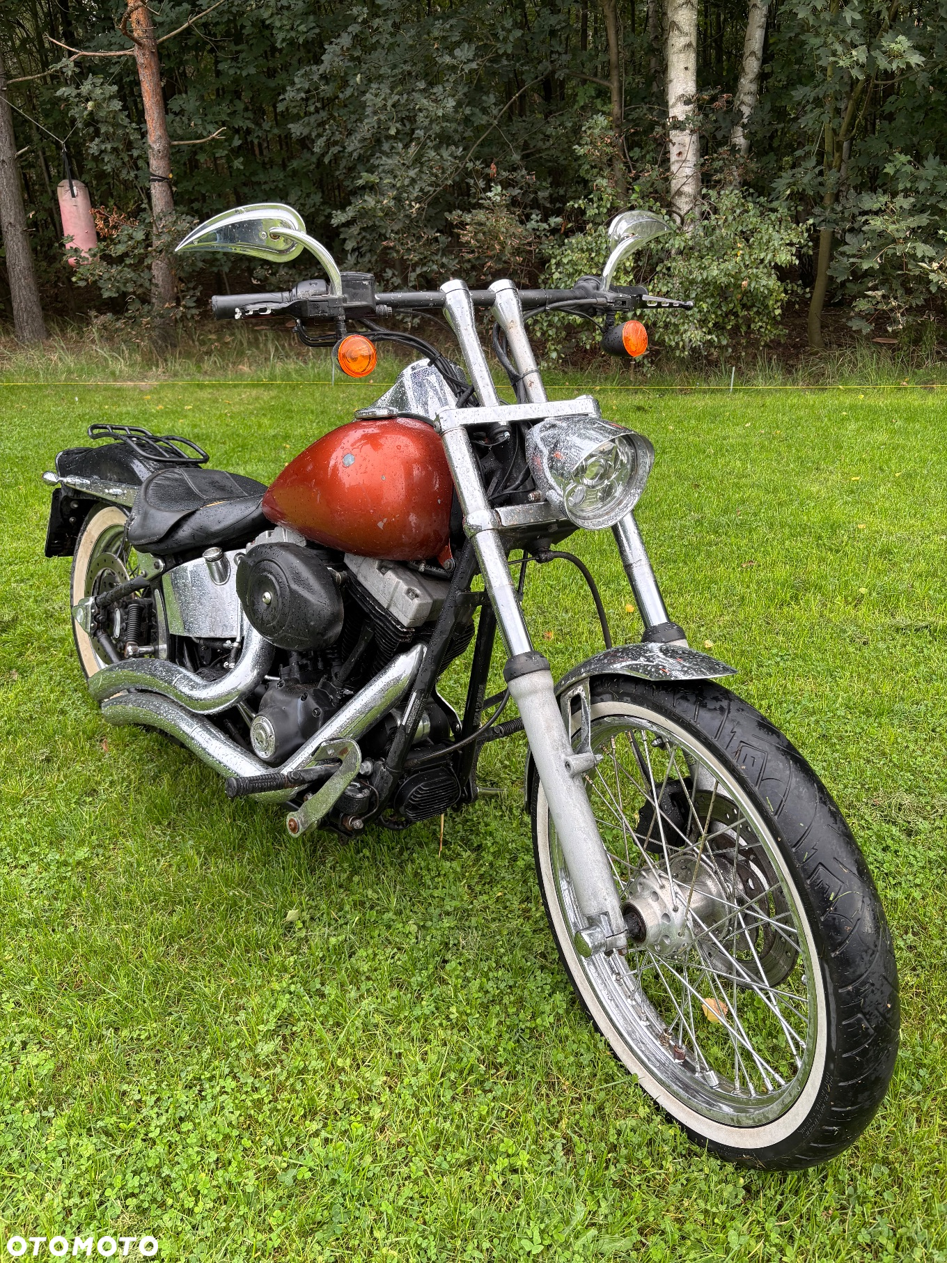 Harley-Davidson Softail Standard - 5