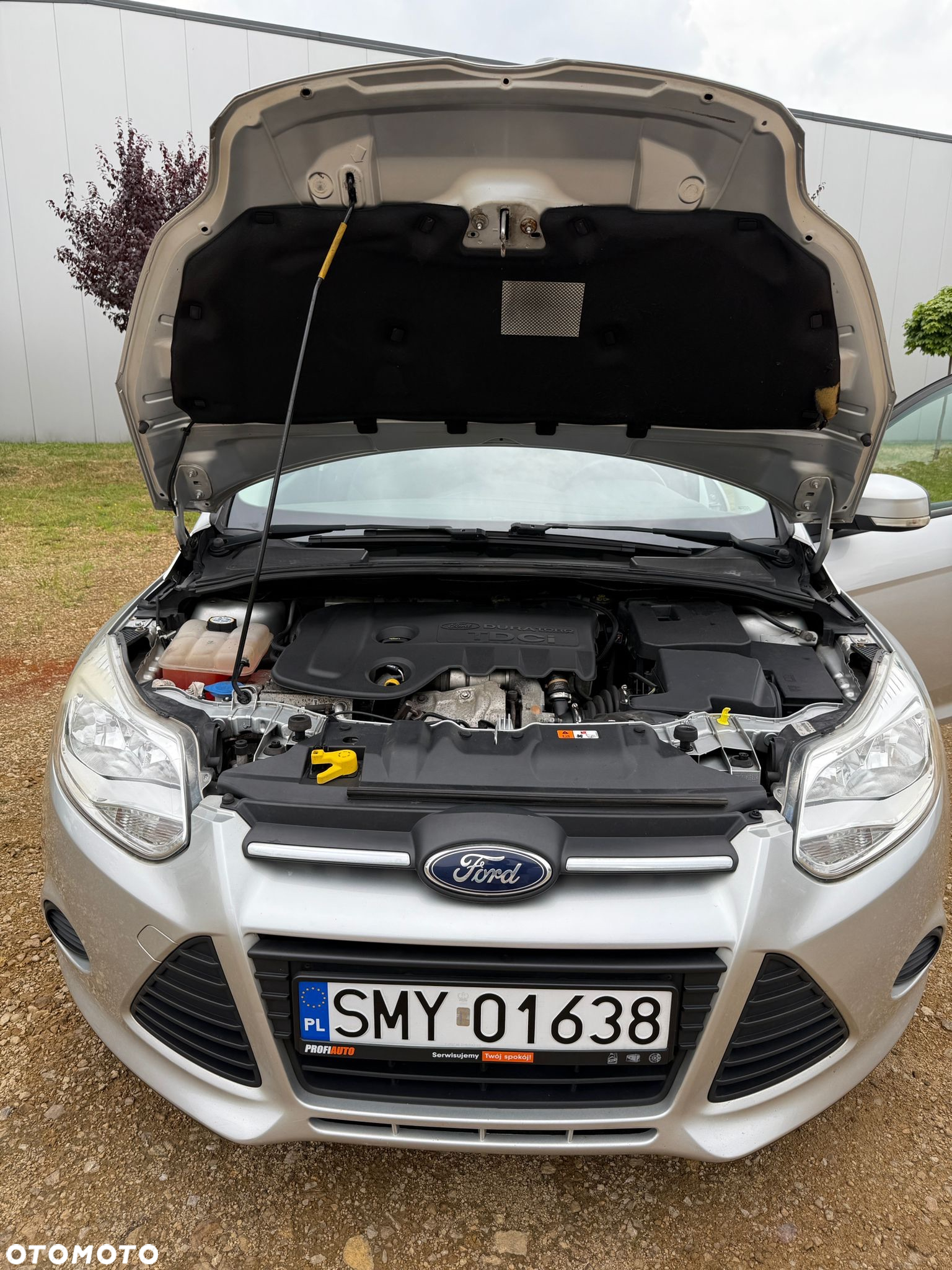 Ford Focus - 19