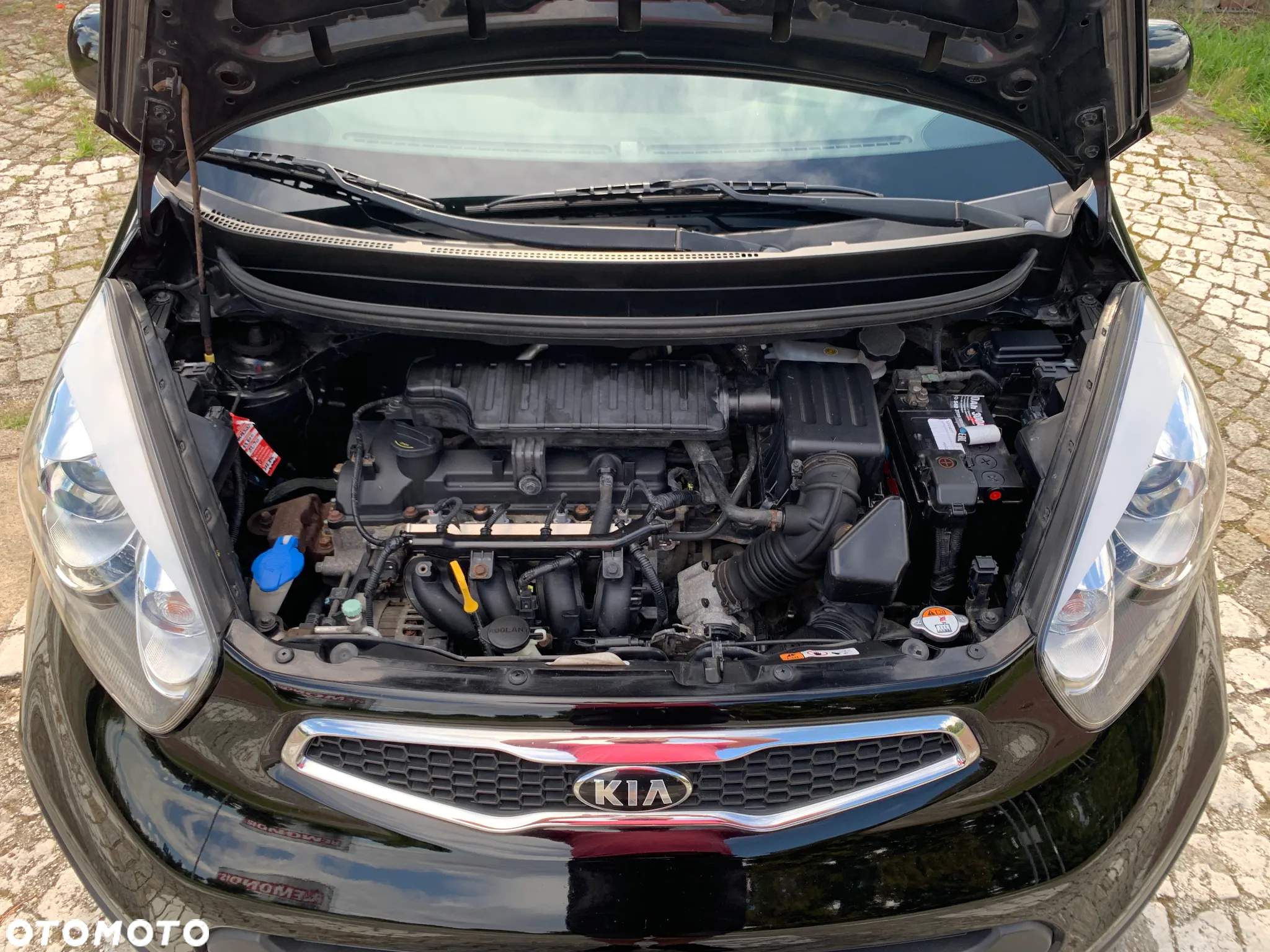 Kia Picanto 1.2 XL - 17
