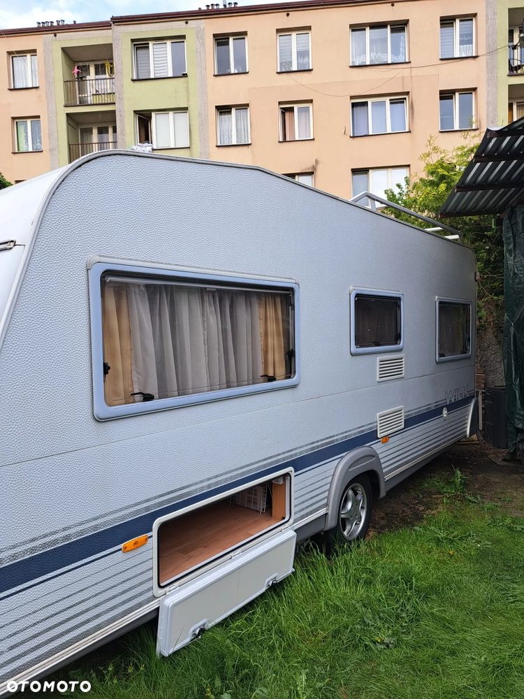 Wilk SPORT 490 - 18