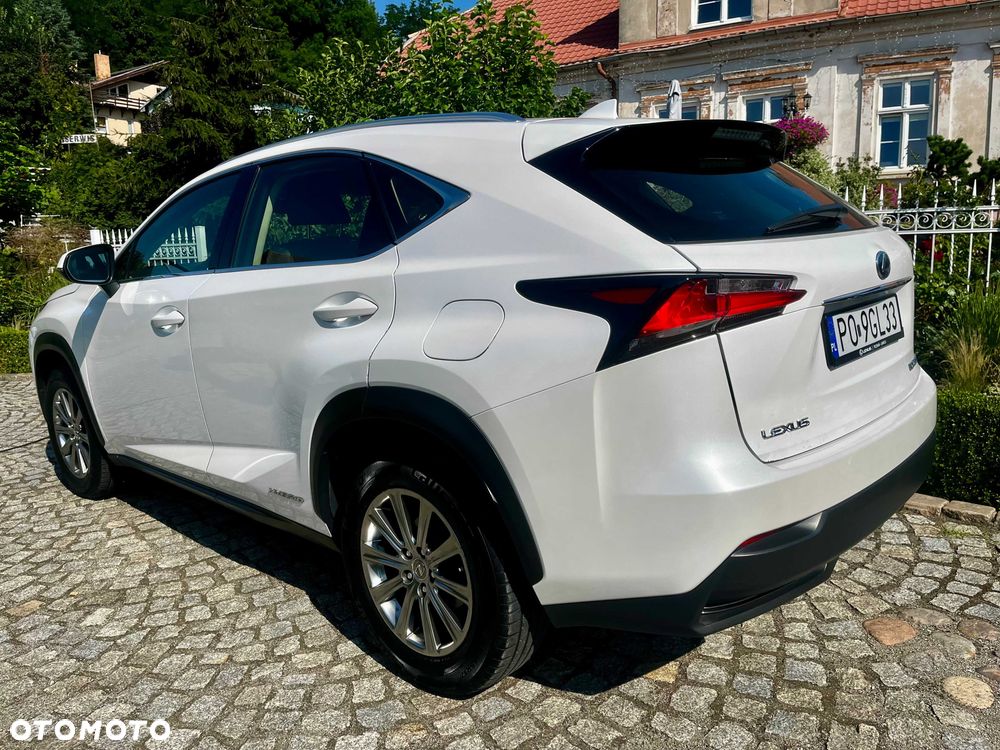 Lexus NX - 3