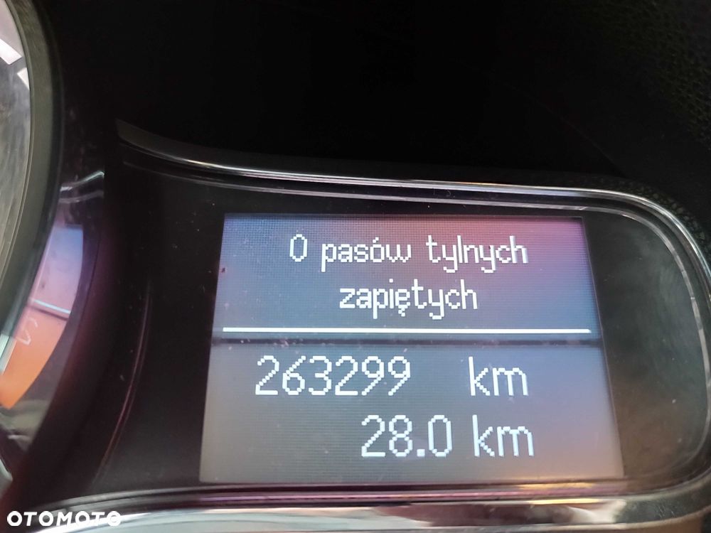 Renault Megane - 14