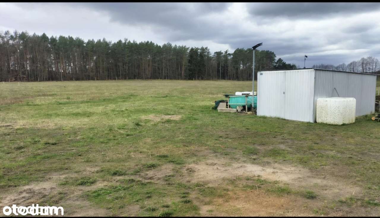 Działka budowl. 1000 m²Tarnów gm. Lubiszyn–cicha okolica,lasy i łąki - Pełny obrazek: 2/3