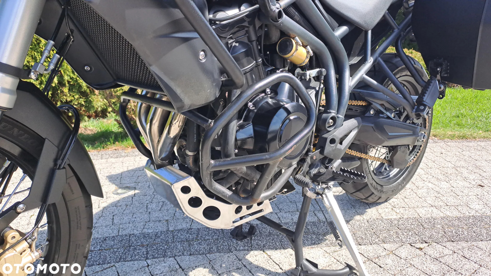 Triumph Tiger - 28