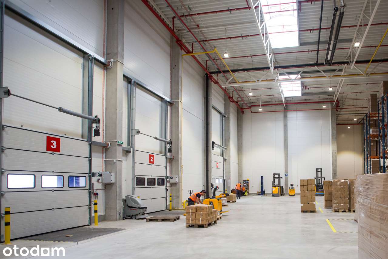 POWIERZCHNIA MAGAZYNOWA PODNAJEM. ŁÓDŹ WIDZEW 2700 m2 - Pełny obrazek: 2/5