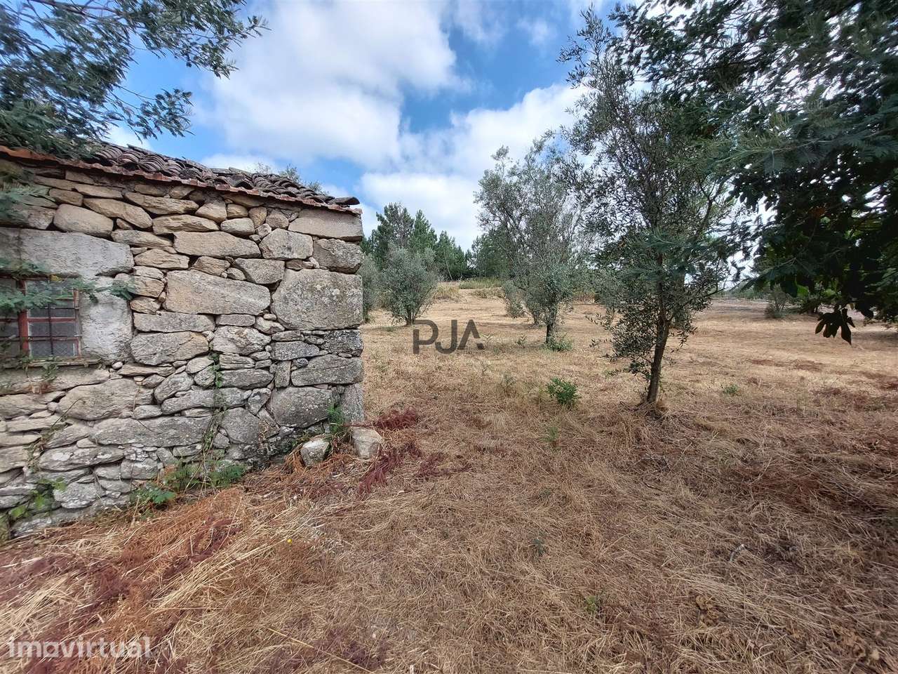 Quinta com 3 Ha em Fornos de Algodres - Grande imagem: 2/12
