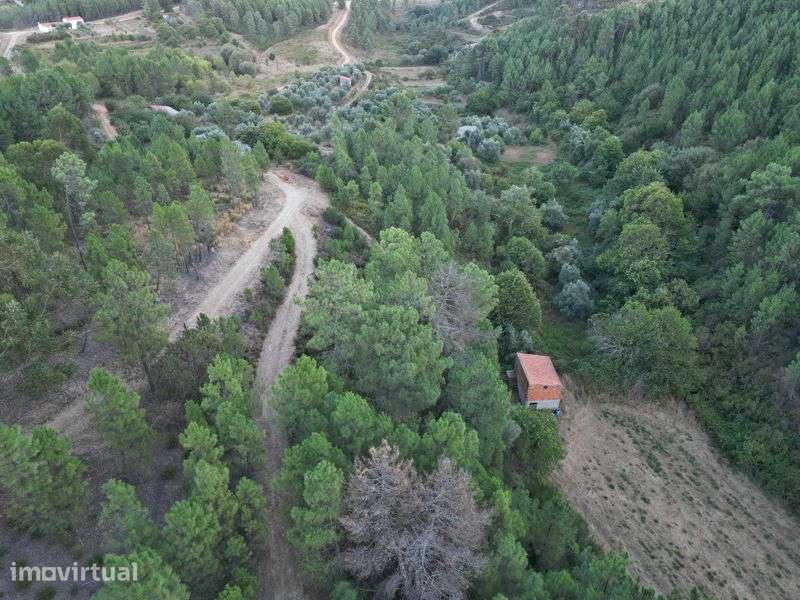 Terreno 80.000m2 - Grande imagem: 5/8